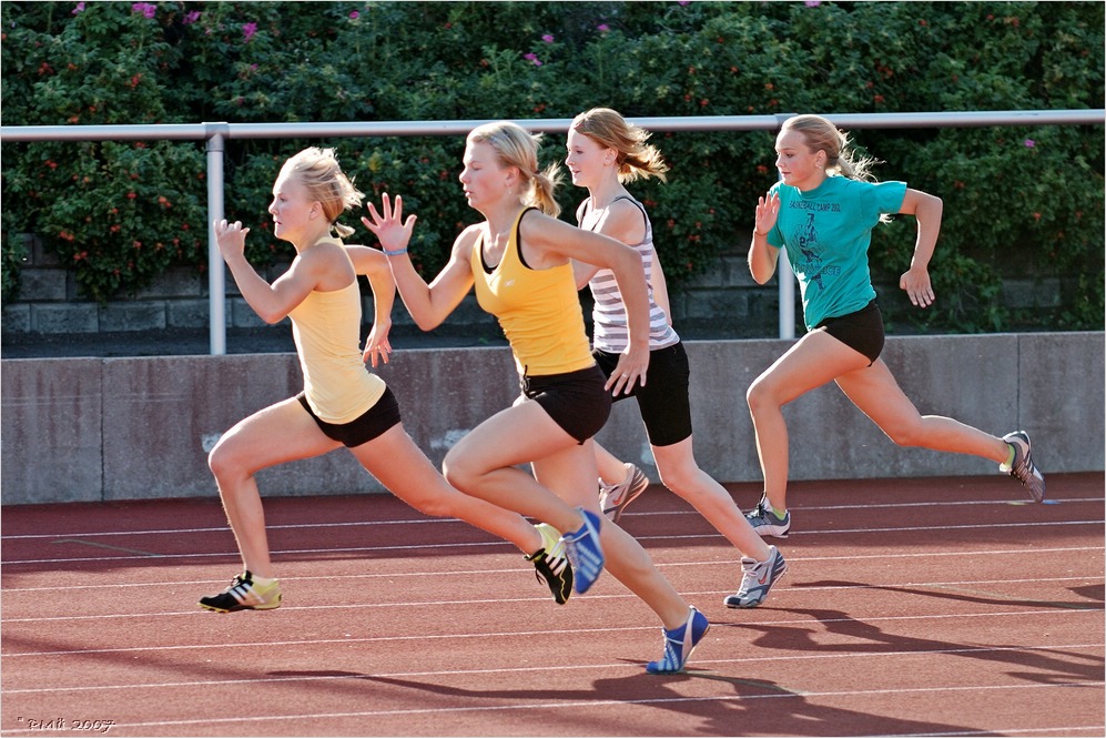 2007-08-21_L-Mest-I_04.jpg