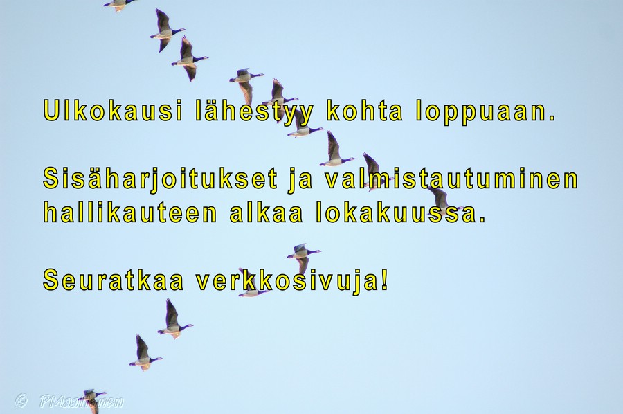 Loppusivu_2007.jpg