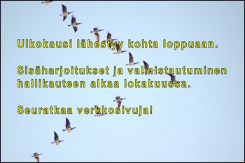 Loppusivu_2007.jpg