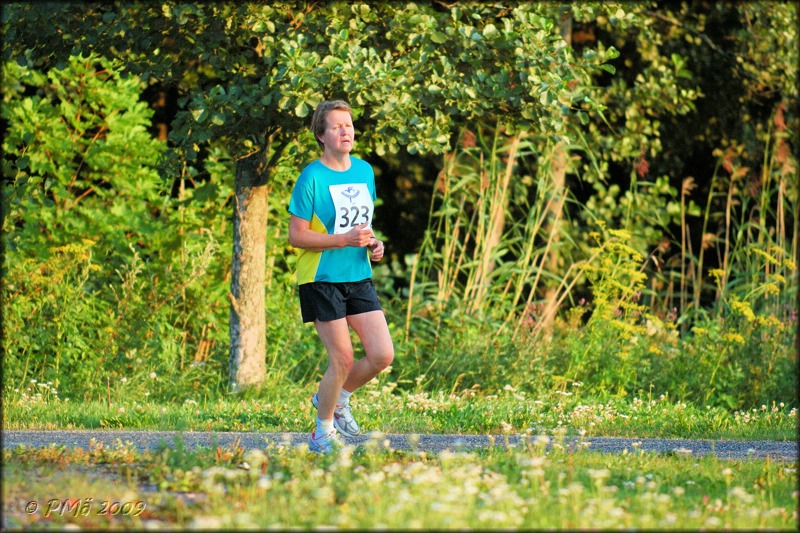 2009_Unikekoholkka-2_06.jpg