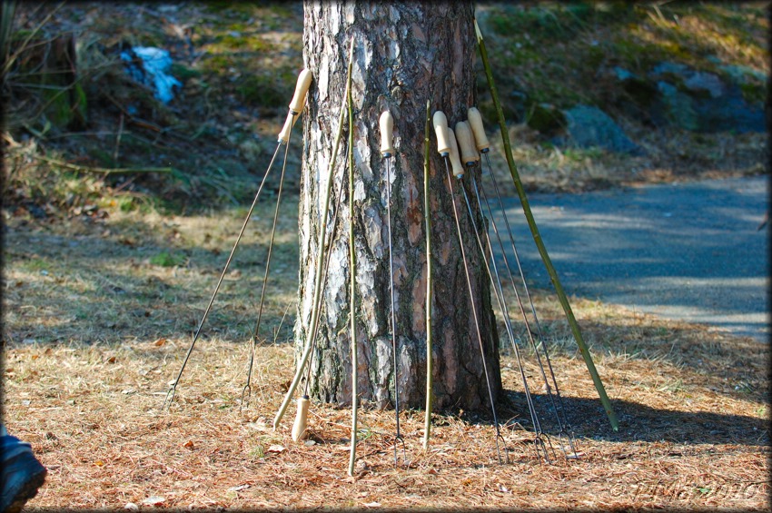 2010-04-11_KAUDEN_AVAJAISET_ (84).jpg