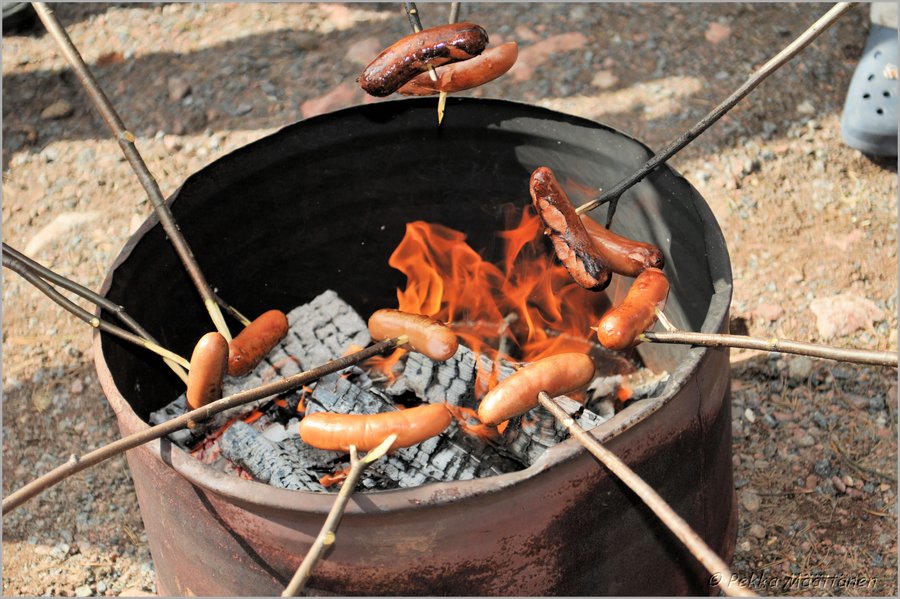 2012-04-01_ULKOKAUDEN_AVAJAISET (96).JPG