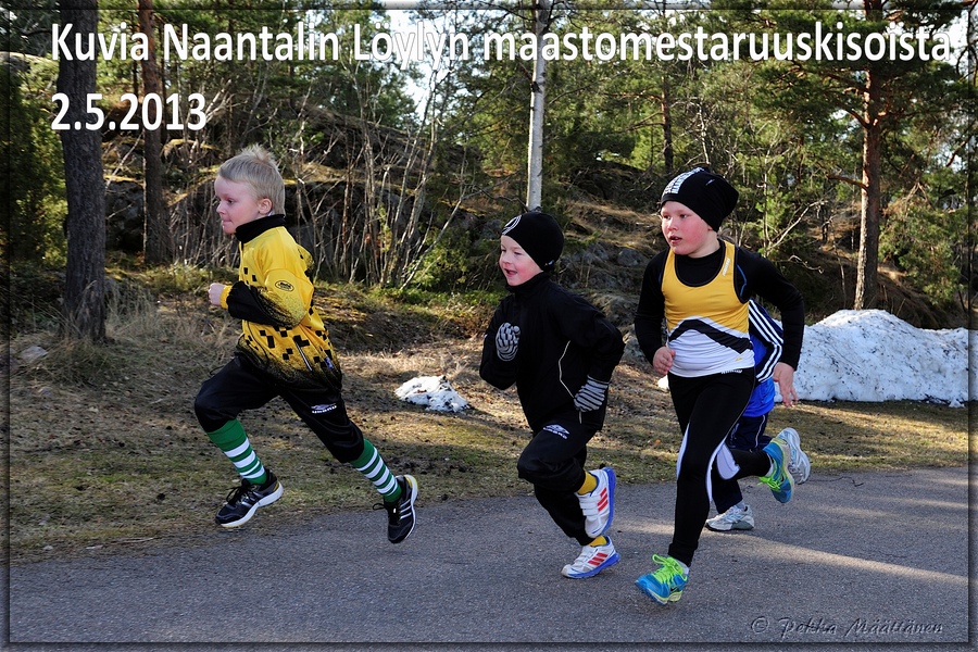 Maastomesstaruus-otsikkodia.jpg