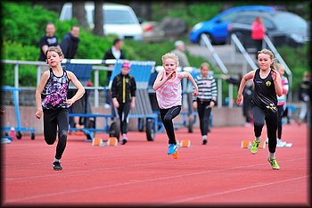 2014-06-03_Loylynmestaruuskisat_I_ (152).jpg