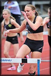 2014-06-03_Loylynmestaruuskisat_I_ (219).jpg