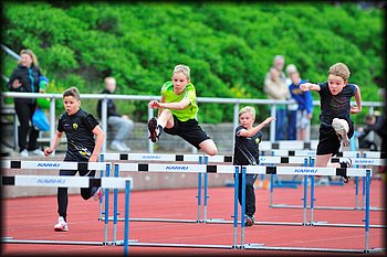 2014-06-03_Loylynmestaruuskisat_I_ (227).jpg