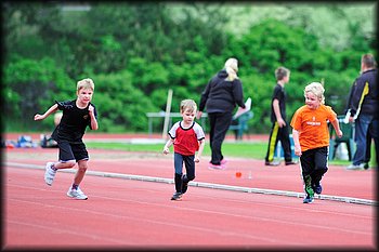 2014-06-03_Loylynmestaruuskisat_I_ (62).jpg