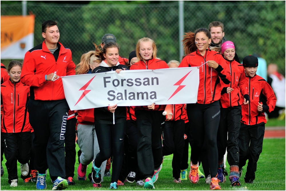 2014-08-30_VTF-Turenki_ (221).jpg