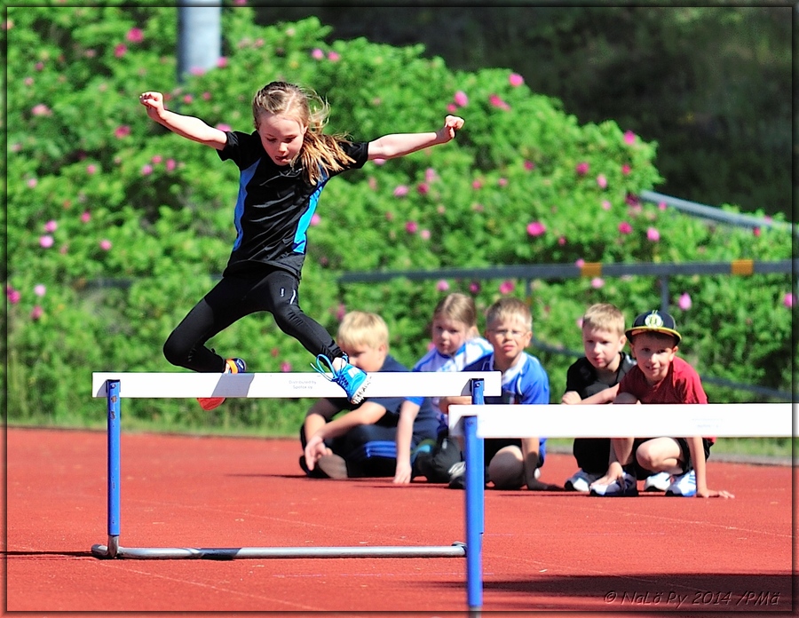 2014-06-15Minigames (194).jpg