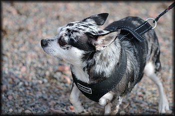 2014-03-30_Ulkokauden_avajaiset (49).jpg