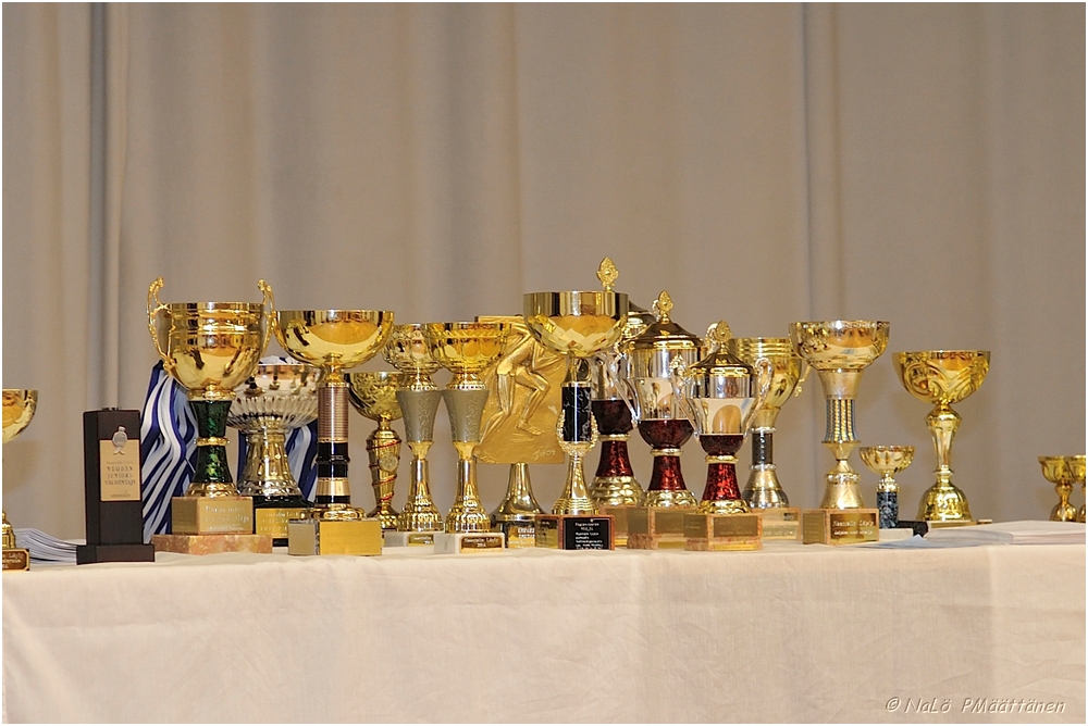 2014-11-02_Paattajaiset_ (1).jpg