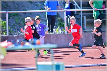 2015-05-28_Loylynmestaruus-I_ (31).jpg