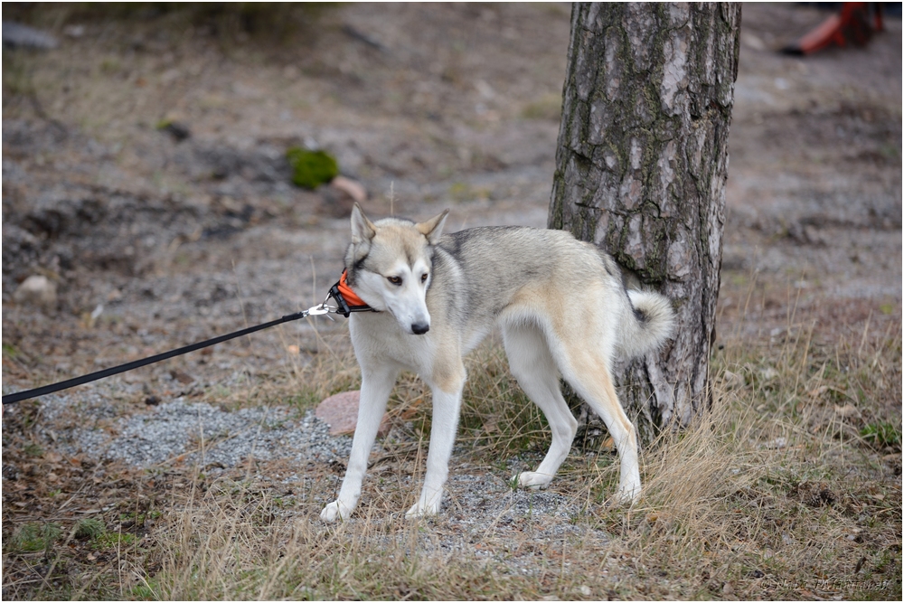 2015-03-29_Ulkokauden_Avajaiset (122).jpg