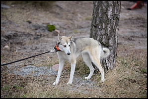 2015-03-29_Ulkokauden_Avajaiset (122).jpg