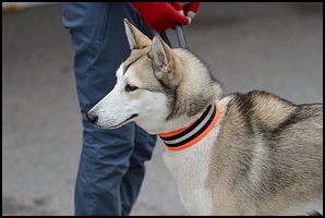 2015-03-29_Ulkokauden_Avajaiset (13).jpg