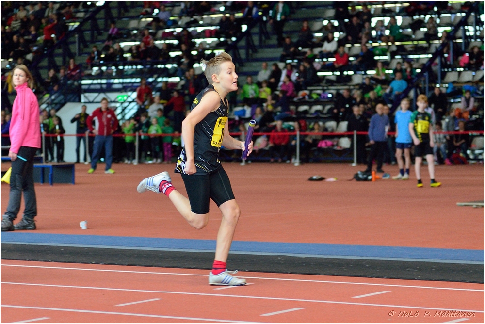 2016-01-30_pm-halliviestit (18).jpg