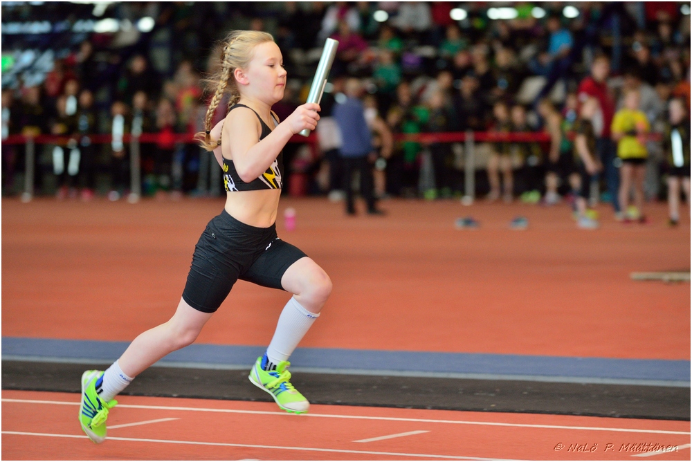 2016-01-30_pm-halliviestit (46).jpg