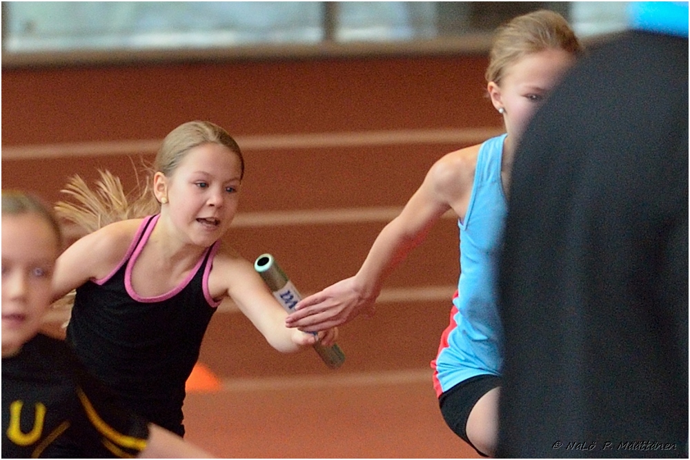 2016-01-30_pm-halliviestit (48).jpg