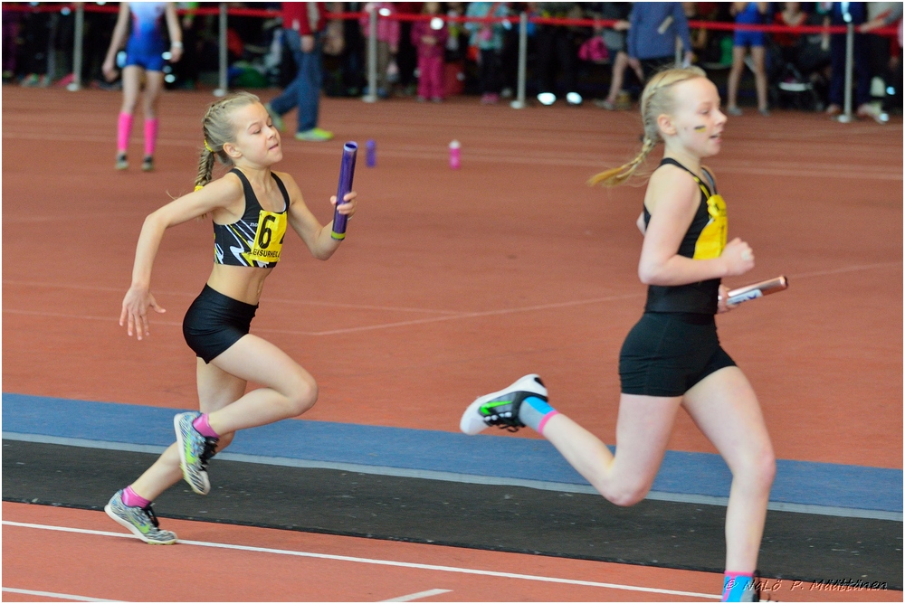 2016-01-30_pm-halliviestit (71).jpg