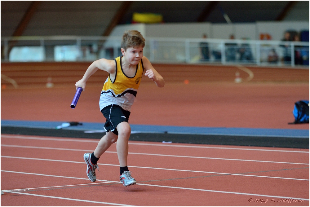 2016-01-30_pm-halliviestit (78).jpg