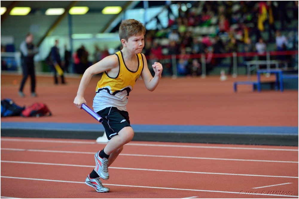 2016-01-30_pm-halliviestit (82).jpg