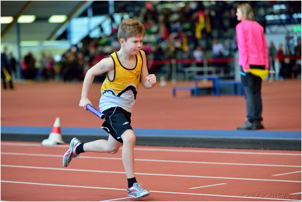 2016-01-30_pm-halliviestit (83).jpg