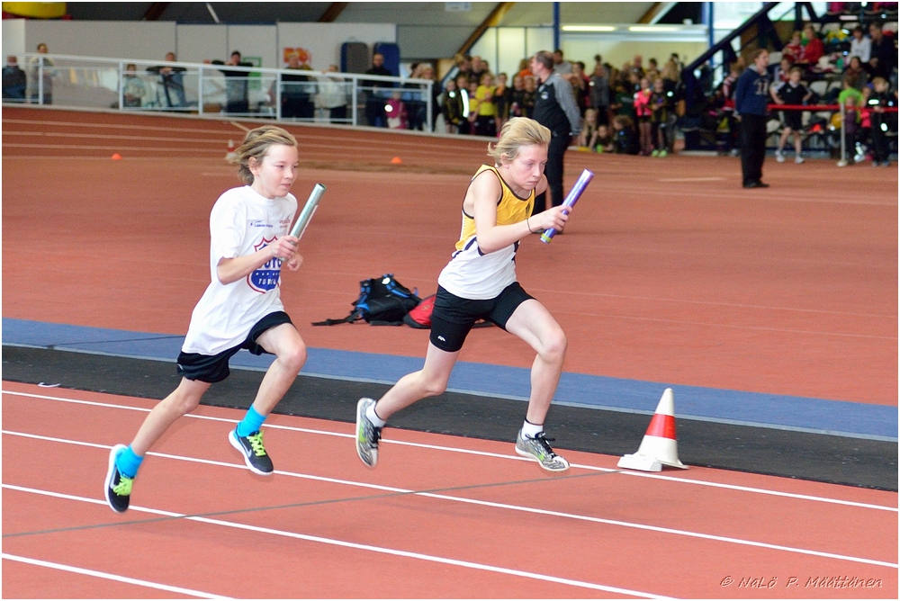 2016-01-30_pm-halliviestit (9).jpg