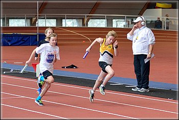 2016-01-30_pm-halliviestit (6).jpg