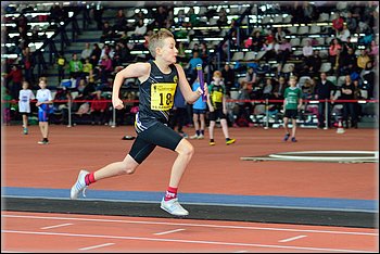 2016-01-30_pm-halliviestit (19).jpg