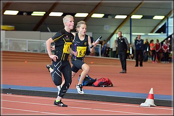 2016-01-30_pm-halliviestit (30).jpg