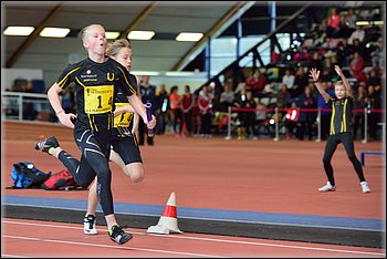 2016-01-30_pm-halliviestit (31).jpg