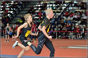 2016-01-30_pm-halliviestit (34).jpg