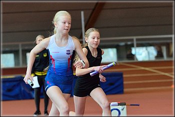 2016-01-30_pm-halliviestit (62).jpg