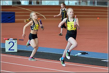 2016-01-30_pm-halliviestit (66).jpg