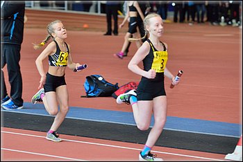 2016-01-30_pm-halliviestit (68).jpg