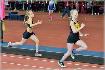 2016-01-30_pm-halliviestit (70).jpg