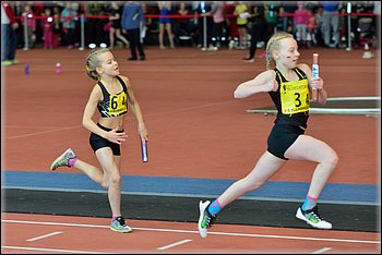 2016-01-30_pm-halliviestit (72).jpg