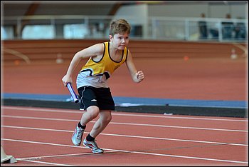 2016-01-30_pm-halliviestit (77).jpg