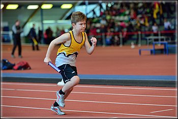 2016-01-30_pm-halliviestit (82).jpg