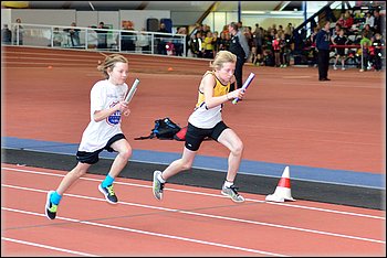 2016-01-30_pm-halliviestit (9).jpg