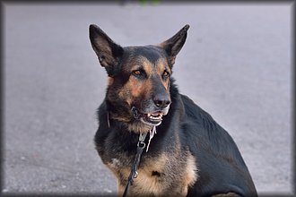 2016-05-03_Maastomestaruus (17).jpg