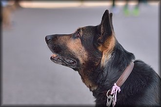 2016-05-03_Maastomestaruus (19).jpg