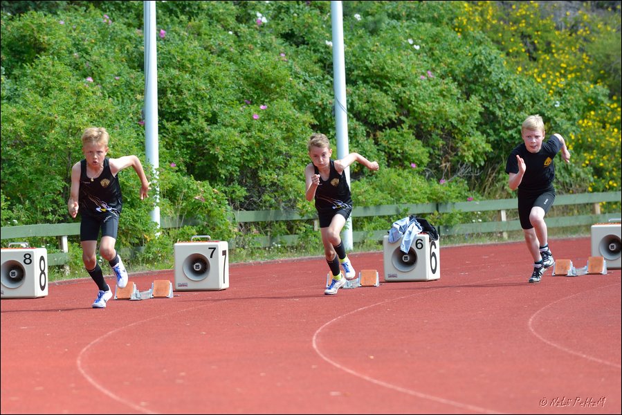 2017-07-22_Kuparivuoren_Kuninkaalliset-I (116).jpg