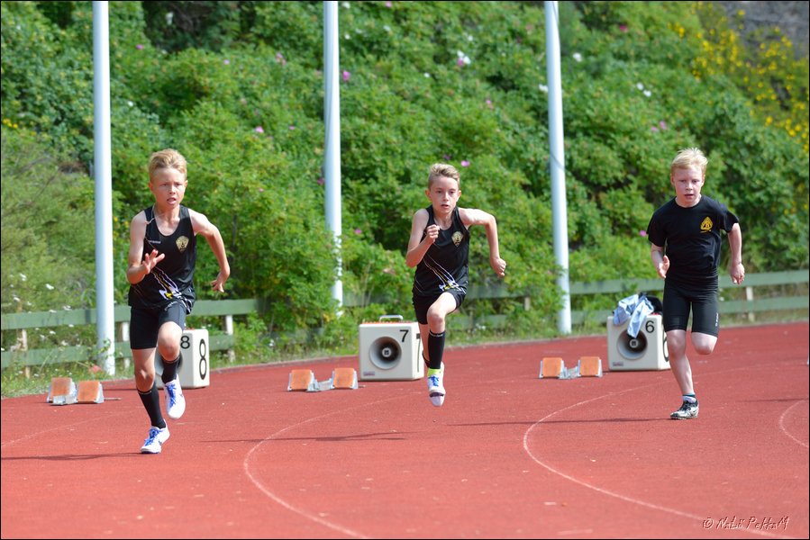 2017-07-22_Kuparivuoren_Kuninkaalliset-I (118).jpg