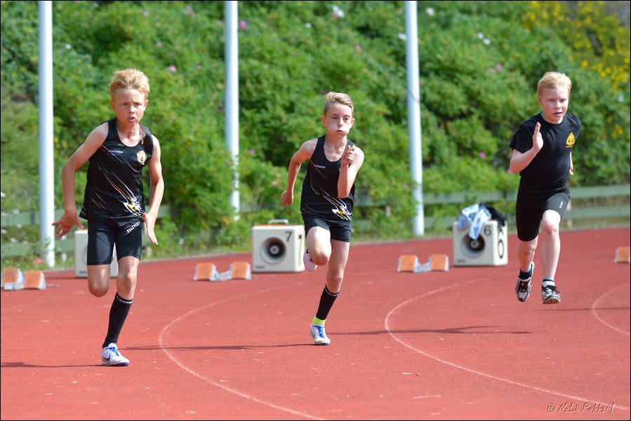 2017-07-22_Kuparivuoren_Kuninkaalliset-I (119).jpg