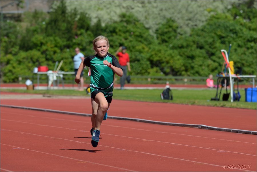 2017-07-22_Kuparivuoren_Kuninkaalliset-I (181).jpg