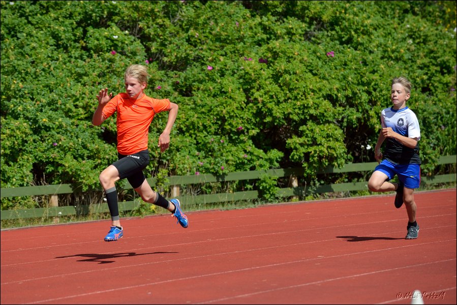 2017-07-22_Kuparivuoren_Kuninkaalliset-I (219).jpg