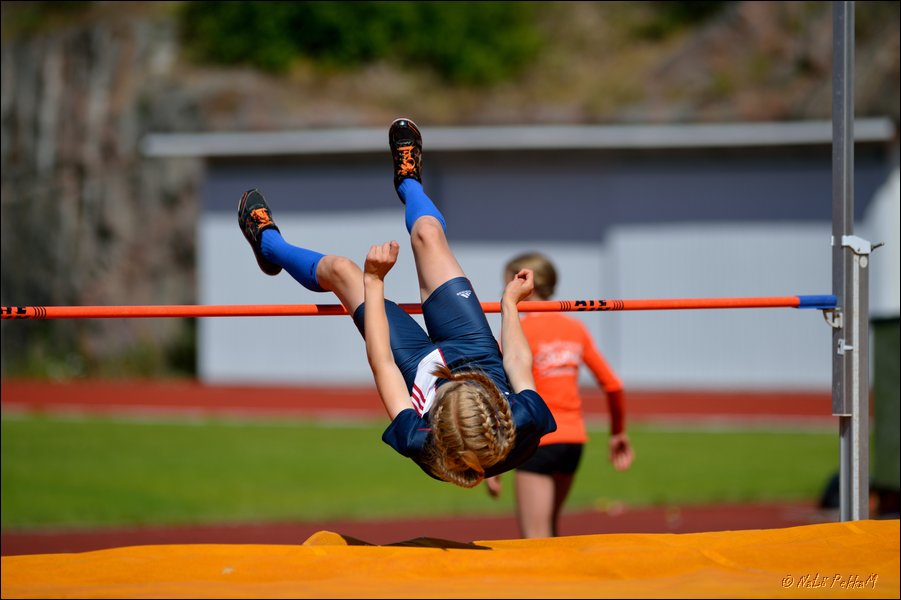 2017-07-22_Kuparivuoren_Kuninkaalliset-I (314).jpg