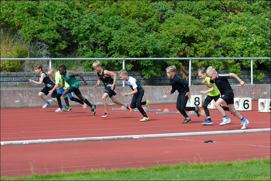 2017-07-22_Kuparivuoren_Kuninkaalliset-I (62).jpg