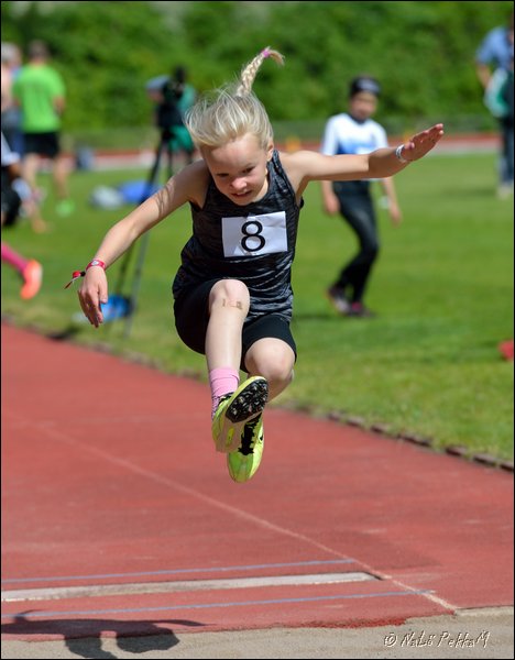 2017-07-22_Kuparivuoren_Kuninkaalliset-I (82).jpg